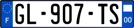 GL-907-TS
