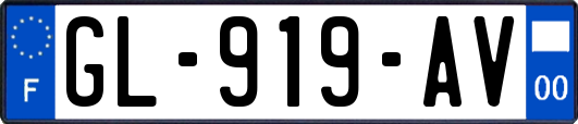 GL-919-AV