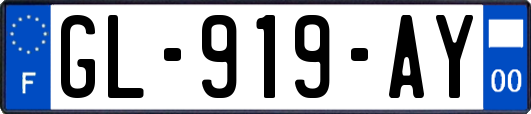 GL-919-AY