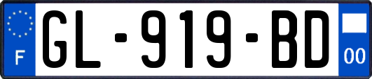 GL-919-BD