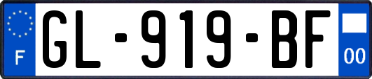 GL-919-BF