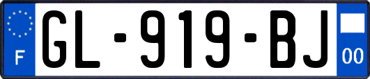 GL-919-BJ