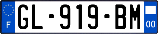 GL-919-BM