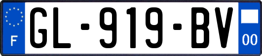 GL-919-BV