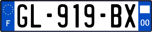 GL-919-BX