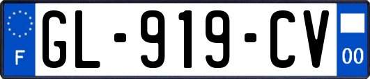 GL-919-CV