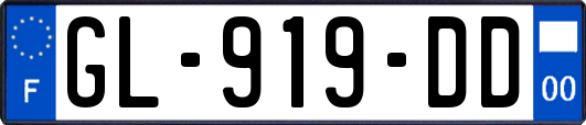 GL-919-DD