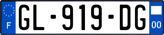 GL-919-DG