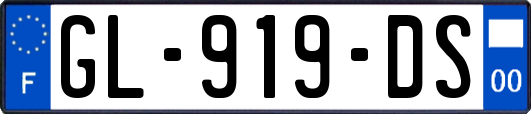 GL-919-DS