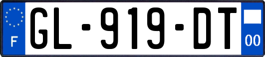 GL-919-DT