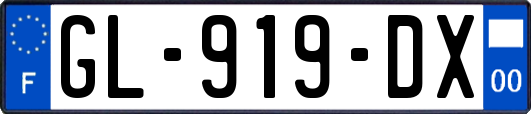 GL-919-DX