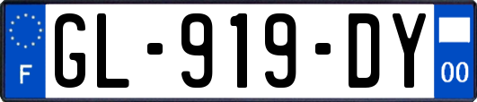 GL-919-DY