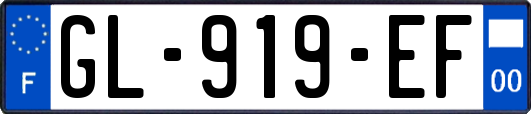 GL-919-EF