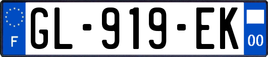 GL-919-EK