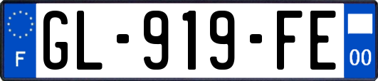 GL-919-FE