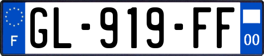 GL-919-FF