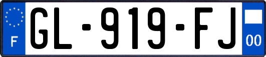 GL-919-FJ