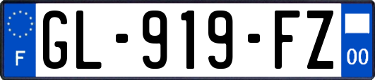 GL-919-FZ