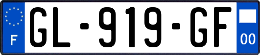 GL-919-GF