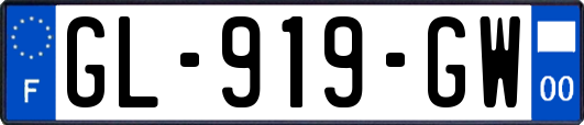 GL-919-GW