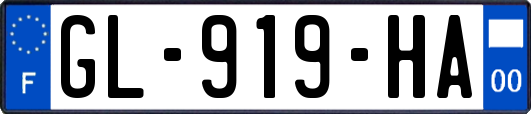 GL-919-HA