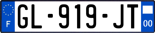 GL-919-JT