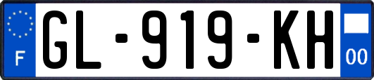 GL-919-KH