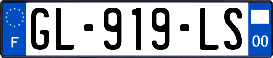GL-919-LS
