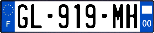 GL-919-MH