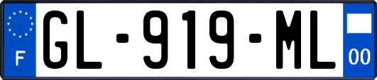 GL-919-ML