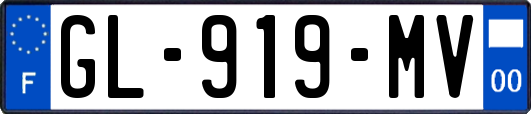 GL-919-MV