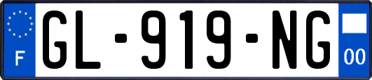 GL-919-NG