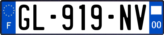 GL-919-NV