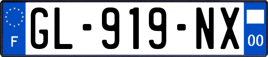 GL-919-NX