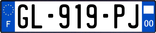 GL-919-PJ