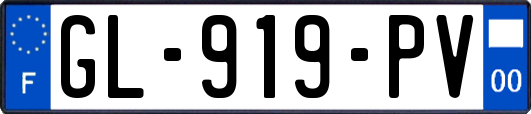 GL-919-PV