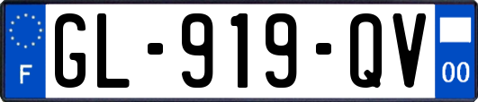 GL-919-QV