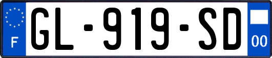 GL-919-SD