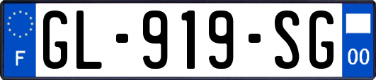 GL-919-SG