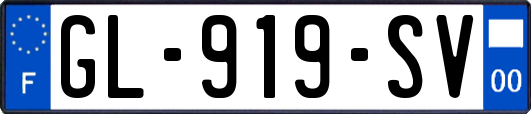 GL-919-SV