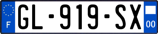 GL-919-SX