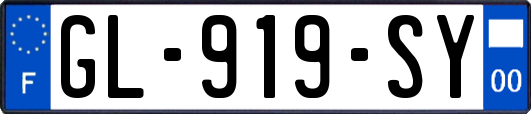 GL-919-SY