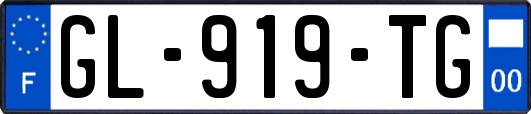 GL-919-TG