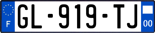 GL-919-TJ