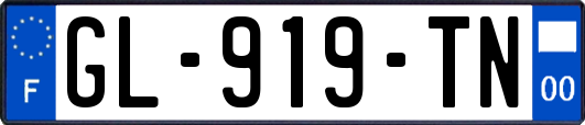 GL-919-TN