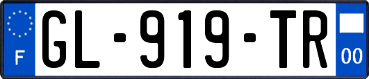 GL-919-TR