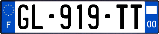 GL-919-TT