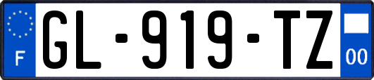 GL-919-TZ