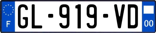 GL-919-VD