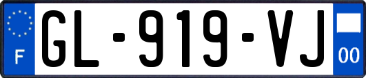 GL-919-VJ